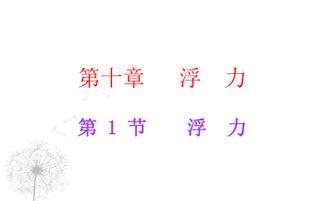 浮力第17页国产,浮力原理在现代工程应用中的关键作用