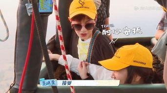 国产鸡情,探寻我国鸡肉产业的崛起之路