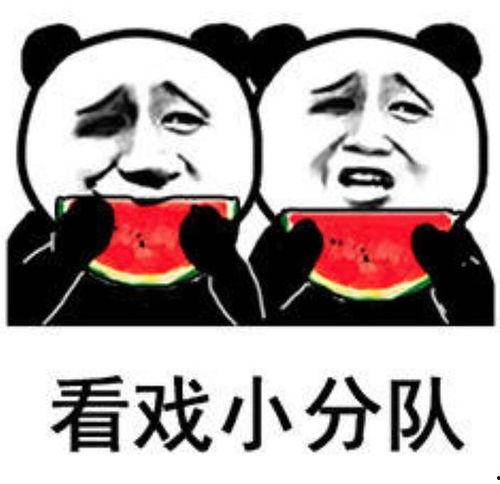 发一个吃瓜的表情回复什么意思,揭秘网络社交中的趣味与争议
